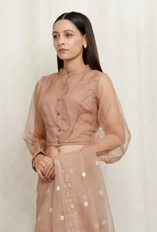 Beige Pure Banarasi Organza Sheer Sleeve Blouse Soft Knit Blouse